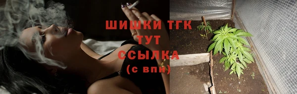 ГАЛЛЮЦИНОГЕННЫЕ ГРИБЫ Беломорск