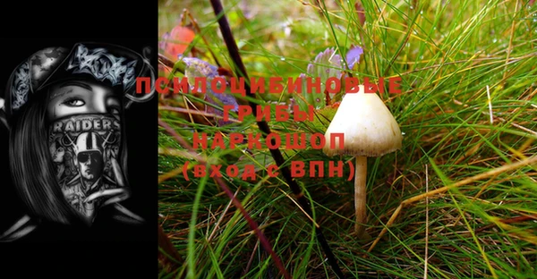 ECSTASY Белоозёрский